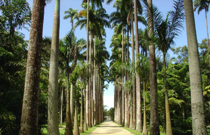 aluguel comercial mais caro Jardim Botânico