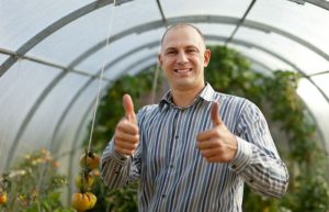 fazenda, sítio ou chácara preservação