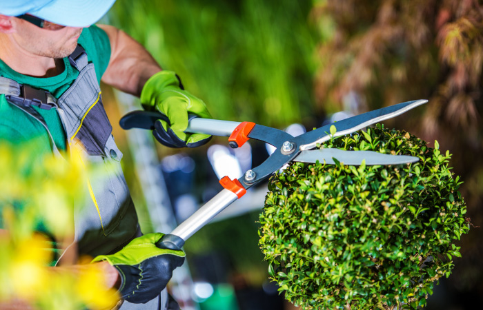 como fazer parcerias jardineiro