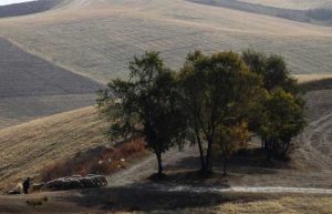 como abrir uma imobiliária rural