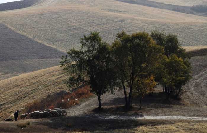 como abrir uma imobiliária rural